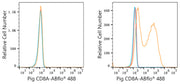 ABflo® 488 Rabbit anti-Pig CD8a mAb