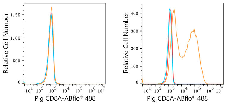 ABflo® 488 Rabbit anti-Pig CD8a mAb