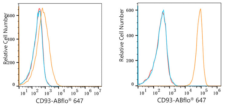 ABflo® 647 Rabbit anti-Human CD93 mAb