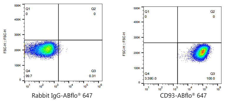 ABflo® 647 Rabbit anti-Human CD93 mAb