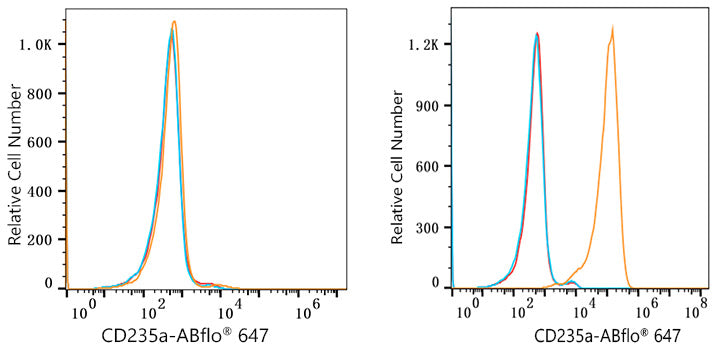 ABflo® 647 Rabbit anti-Human CD235a/Glycophorin A mAb