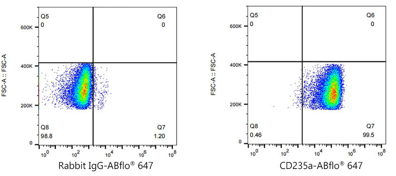 ABflo® 647 Rabbit anti-Human CD235a/Glycophorin A mAb