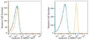 ABflo® 647 Rabbit anti-Human Galectin 3 mAb