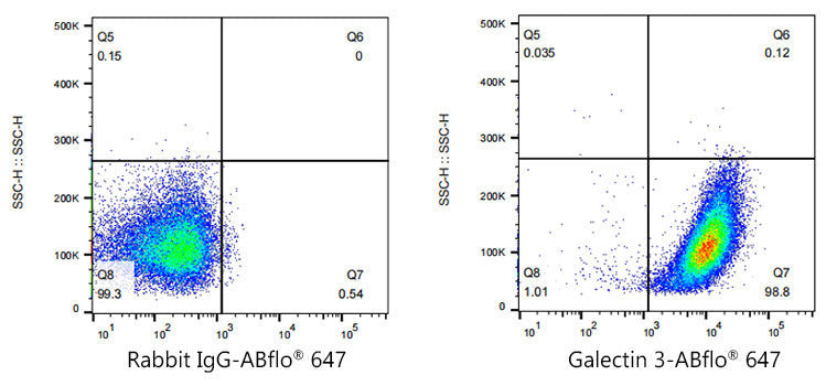ABflo® 647 Rabbit anti-Human Galectin 3 mAb