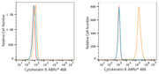 ABflo® 488 Rabbit anti-Human Cytokeratin 8 mAb