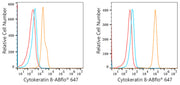 ABflo® 647 Rabbit anti-Human Cytokeratin 8 mAb
