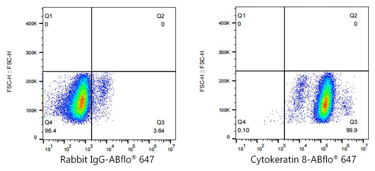 ABflo® 647 Rabbit anti-Human Cytokeratin 8 mAb