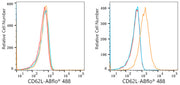 ABflo® 488 Rabbit anti-Human CD62L/L-Selectin mAb