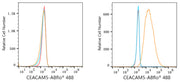 ABflo® 488 Rabbit anti-Human CEACAM5/CD66e mAb