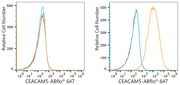 ABflo® 647 Rabbit anti-Human CEACAM5/CD66e mAb