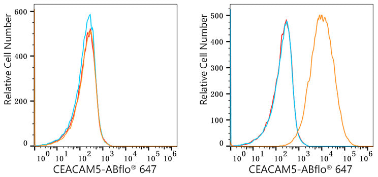 ABflo® 647 Rabbit anti-Human CEACAM5/CD66e mAb