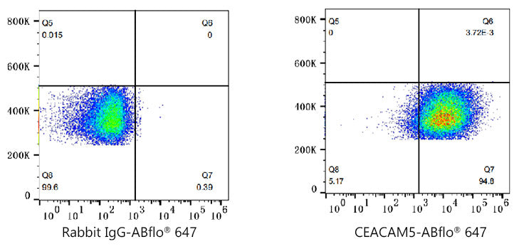 ABflo® 647 Rabbit anti-Human CEACAM5/CD66e mAb