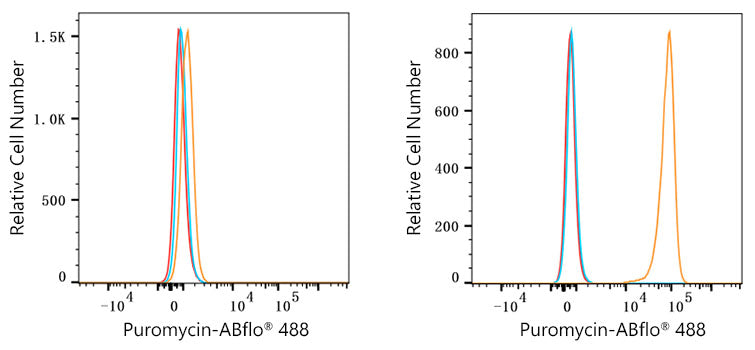 Puromycin Rabbit mAb