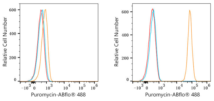 Puromycin Rabbit mAb