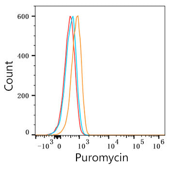 Puromycin Rabbit mAb