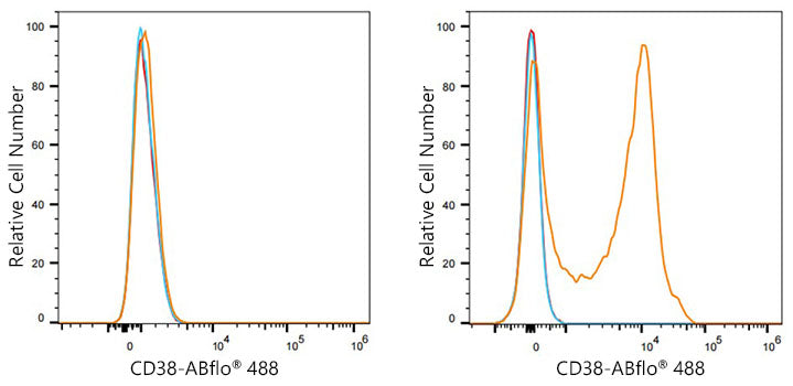 CD38 Rabbit mAb