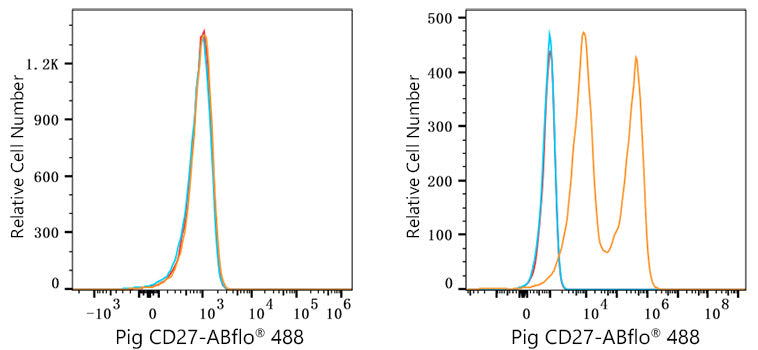 ABflo® 488 Rabbit anti-Pig CD27 mAb