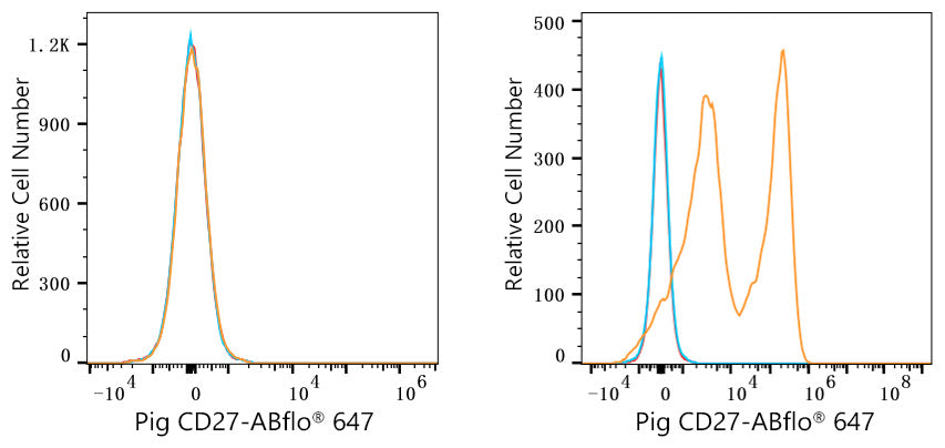 ABflo® 647 Rabbit anti-Pig CD27 mAb