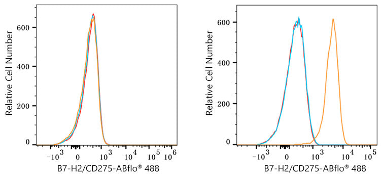 ABflo® 488 Rabbit anti-Human B7-H2/CD275 mAb