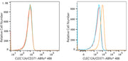 ABflo® 488 Rabbit anti-Human CLEC12A/CD371 mAb