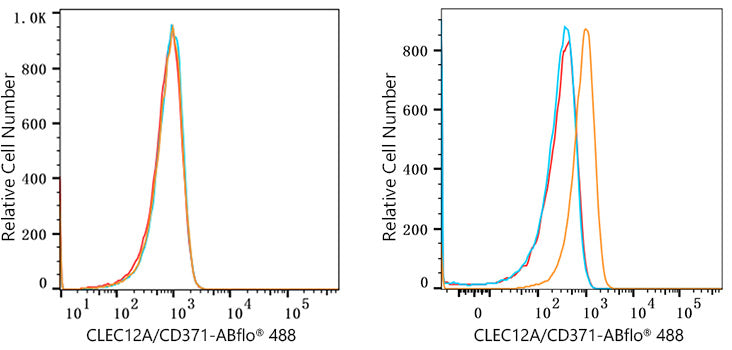 ABflo® 488 Rabbit anti-Human CLEC12A/CD371 mAb