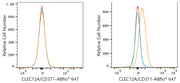 ABflo® 647 Rabbit anti-Human CLEC12A/CD371 mAb