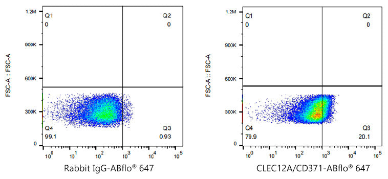 ABflo® 647 Rabbit anti-Human CLEC12A/CD371 mAb