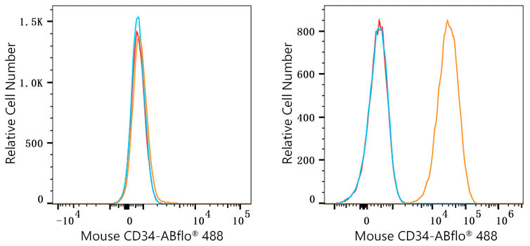 ABflo® 488 Rabbit anti-Mouse CD34 mAb