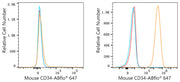 ABflo® 647 Rabbit anti-Mouse CD34 mAb