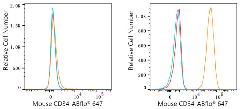 ABflo® 647 Rabbit anti-Mouse CD34 mAb