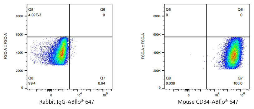 ABflo® 647 Rabbit anti-Mouse CD34 mAb