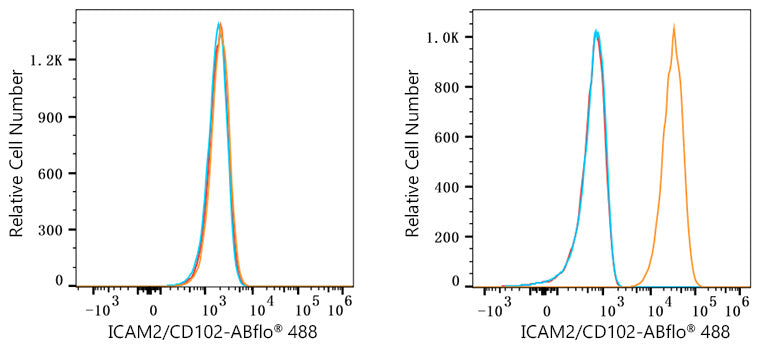 ABflo® 488 Rabbit anti-Human ICAM2/CD102 mAb