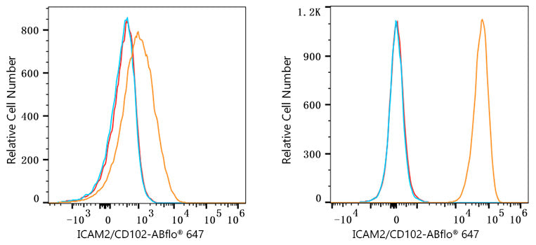 ABflo® 647 Rabbit anti-Human ICAM2/CD102 mAb