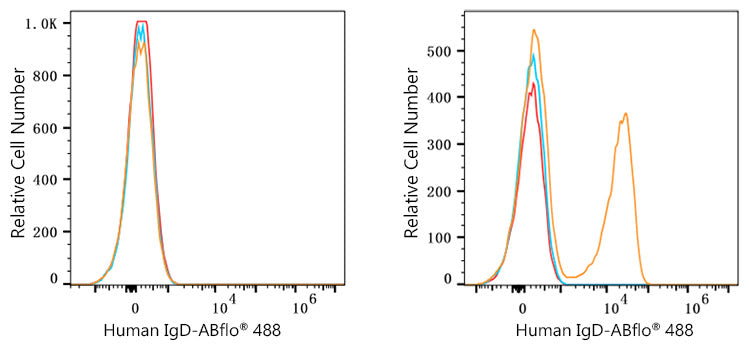 ABflo® 488 Rabbit anti-Human/Monkey IgD mAb