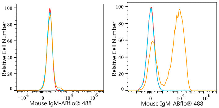 ABflo® 488 Rabbit anti-Mouse IgM mAb
