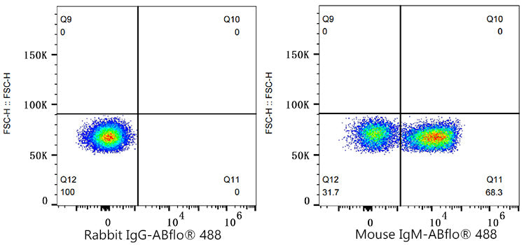 ABflo® 488 Rabbit anti-Mouse IgM mAb
