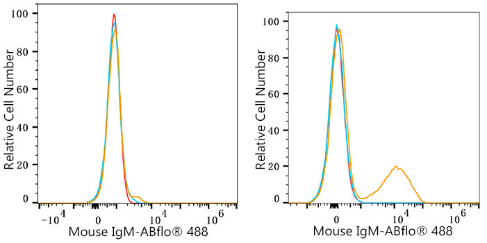 ABflo® 488 Rabbit anti-Mouse IgM mAb