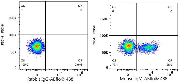 ABflo® 488 Rabbit anti-Mouse IgM mAb