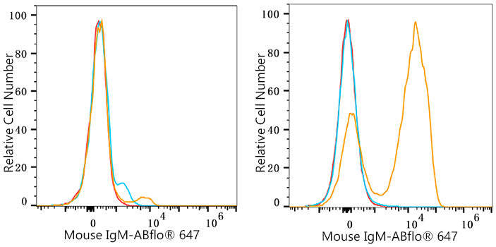 ABflo® 647 Rabbit anti-Mouse IgM mAb