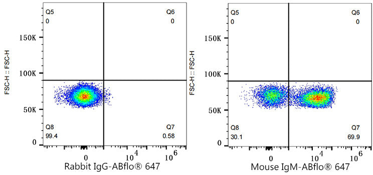 ABflo® 647 Rabbit anti-Mouse IgM mAb