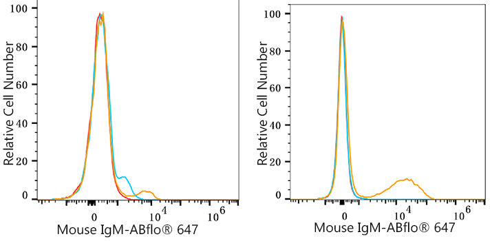 ABflo® 647 Rabbit anti-Mouse IgM mAb