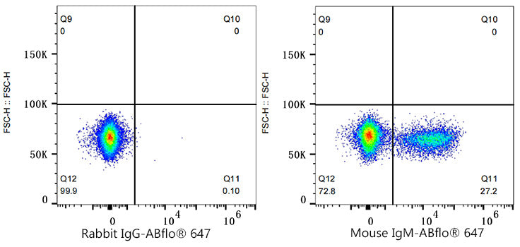 ABflo® 647 Rabbit anti-Mouse IgM mAb