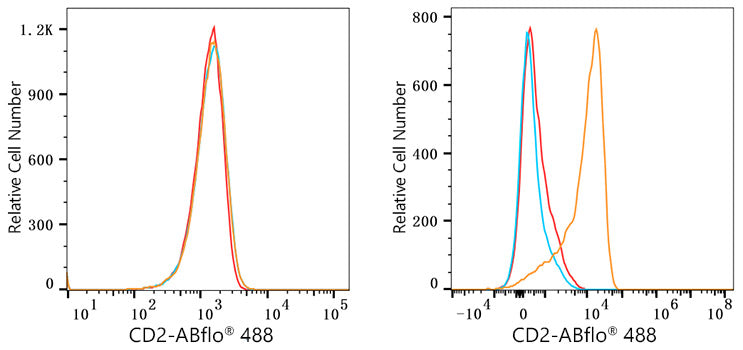 ABflo® 488 Rabbit anti-Human CD2 mAb