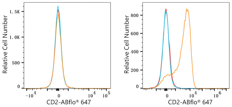 ABflo® 647 Rabbit anti-Human CD2 mAb