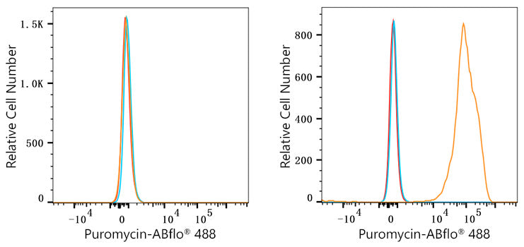 ABflo® 488 Rabbit anti-puromycin mAb
