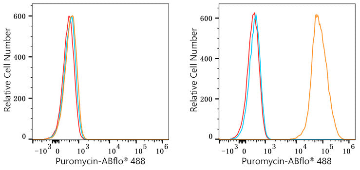 ABflo® 488 Rabbit anti-puromycin mAb