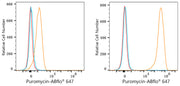 ABflo® 647 Rabbit anti-puromycin mAb