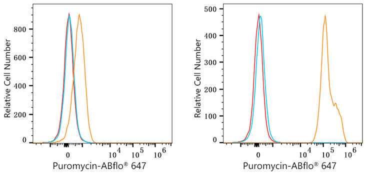 ABflo® 647 Rabbit anti-puromycin mAb