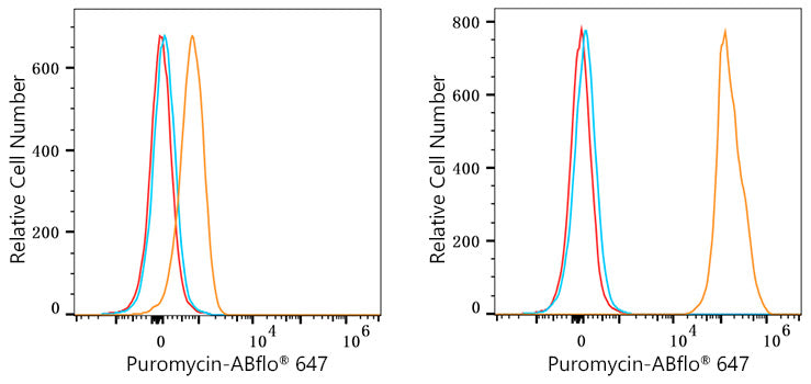 ABflo® 647 Rabbit anti-puromycin mAb