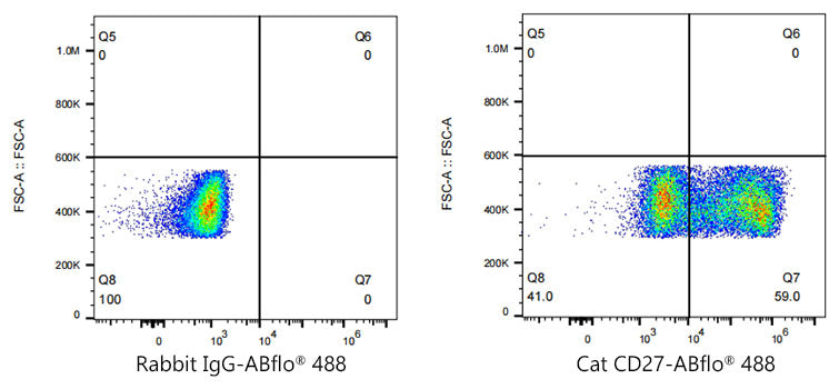 ABflo® 488 Rabbit anti-Cat CD27 mAb
